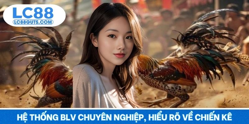Hệ thống BLV chuyên nghiệp, hiểu rõ về chiến kê